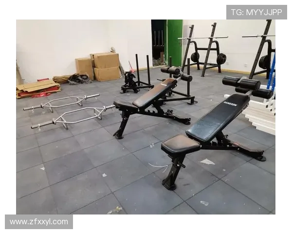 高端健身器材批发市场现状及优质供应商